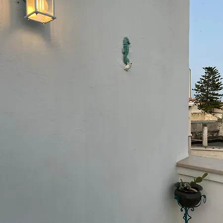 Terrazza Nostromo Francesco Apartment *